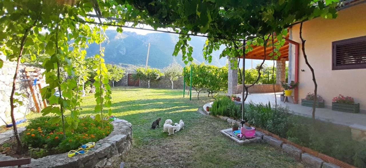 Vila Pegaz Virpazar Luaran gambar